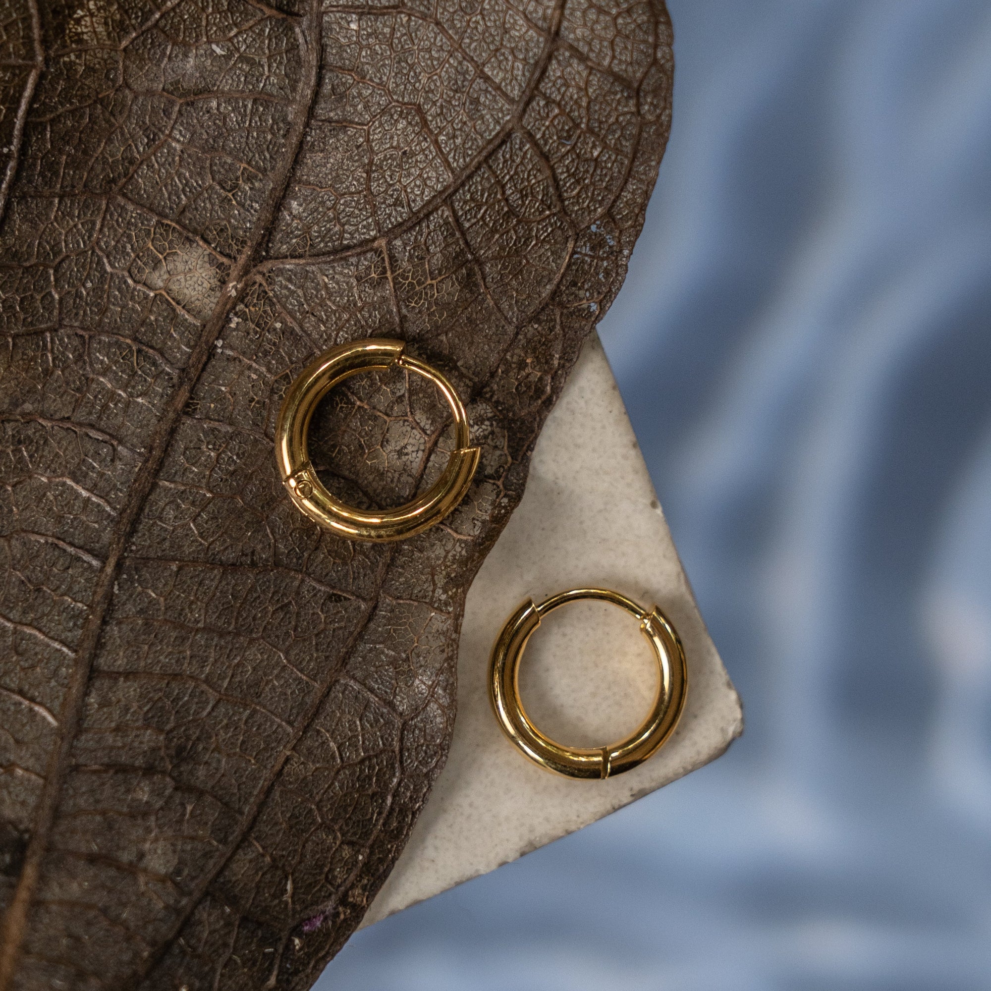 A collection of gold hoop earrings of various sizes displayed on a flat surface with a textured background.