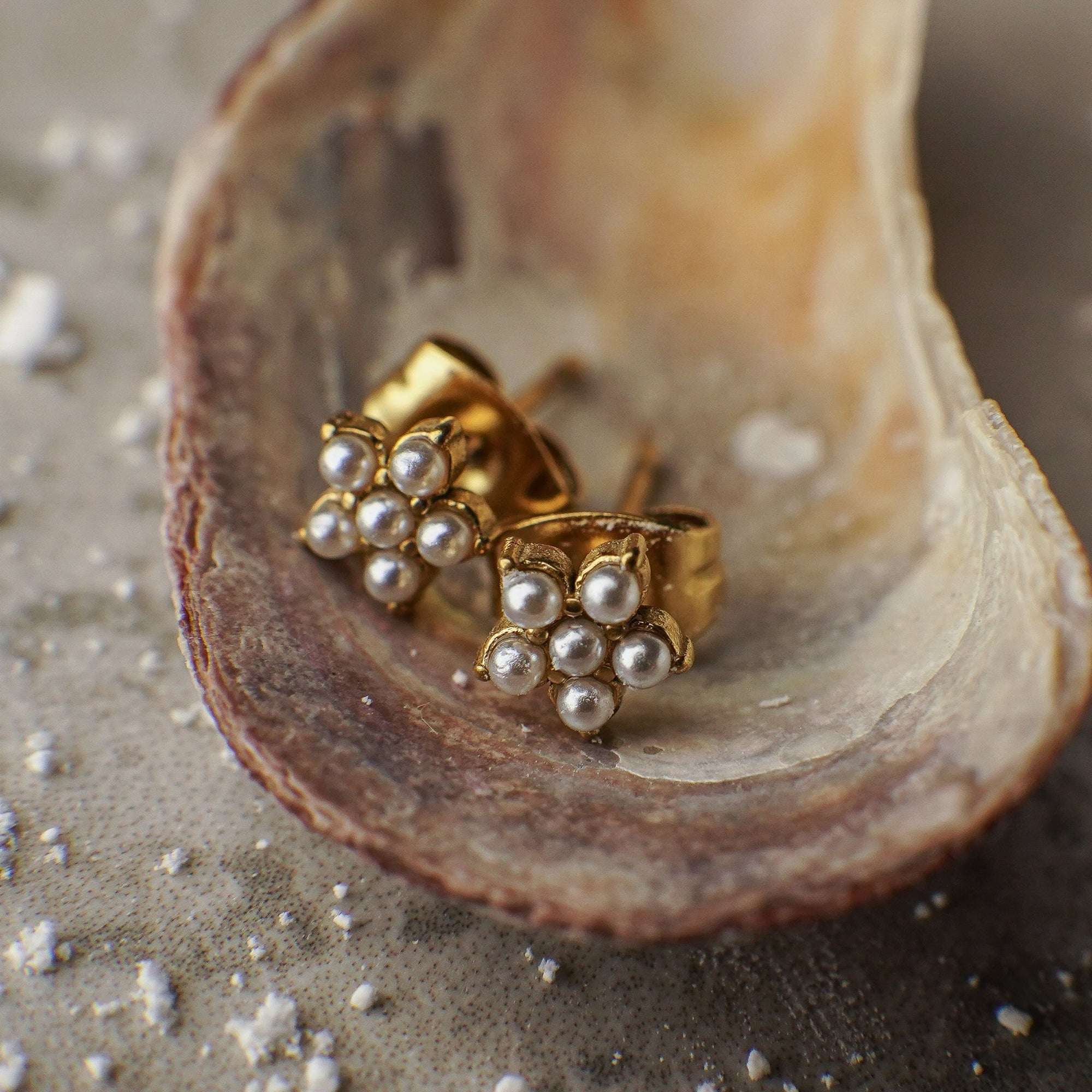 Gold earrings with pearls inside a shell on sand