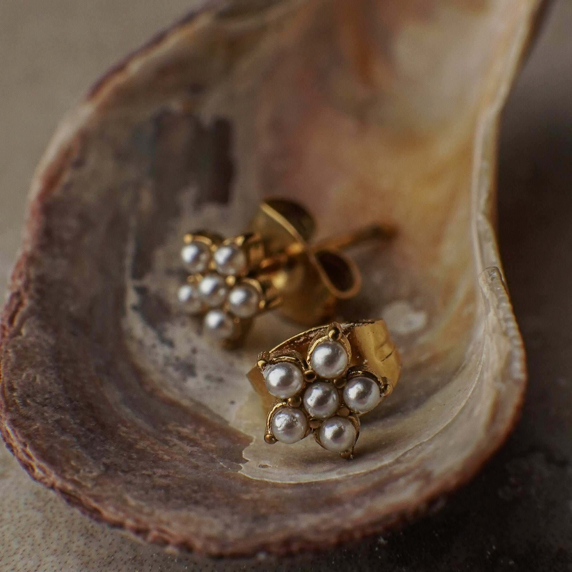Pair of gold earrings with pearls on a shell