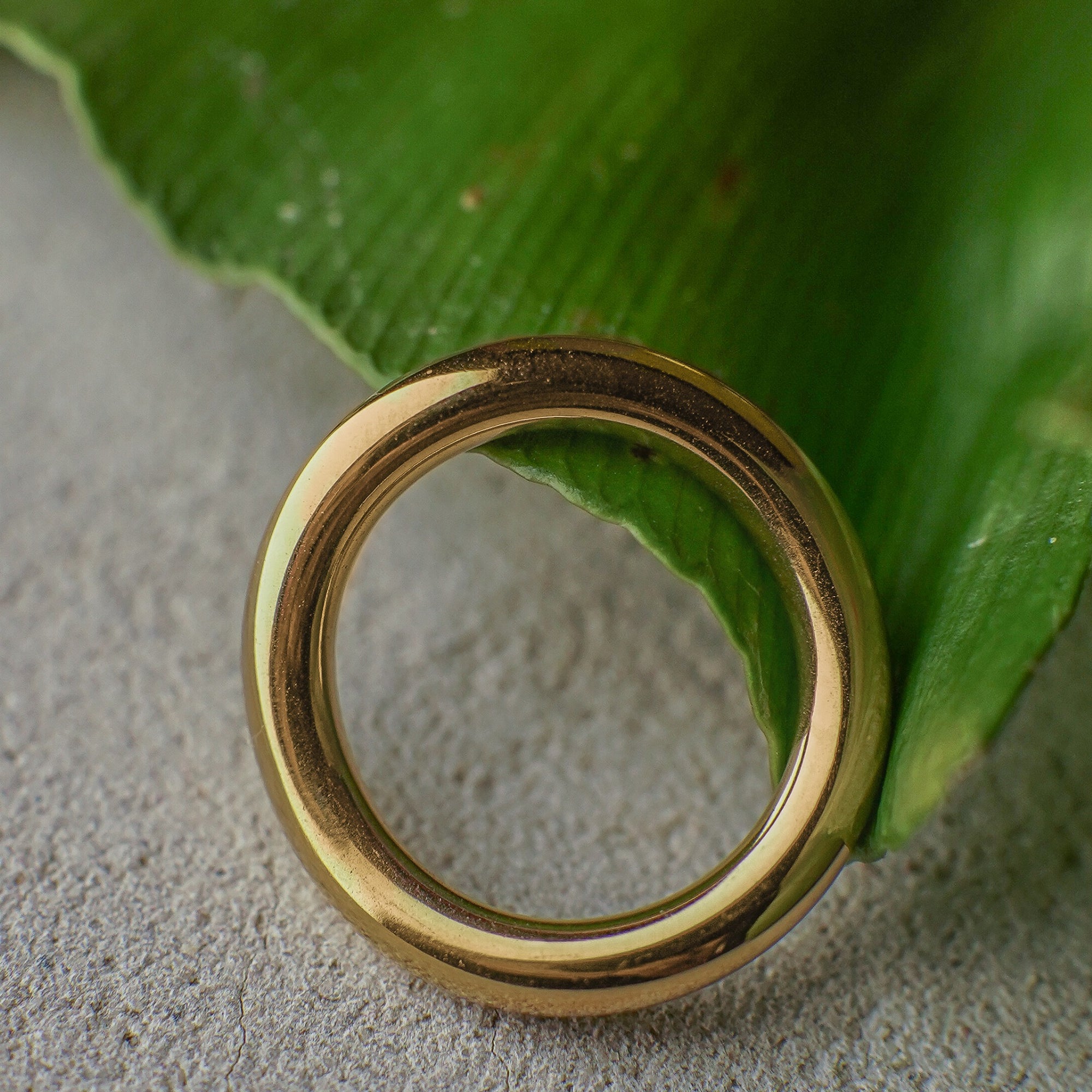 Gold ring on a green leaf with a textured surface