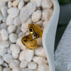 Anja Ring