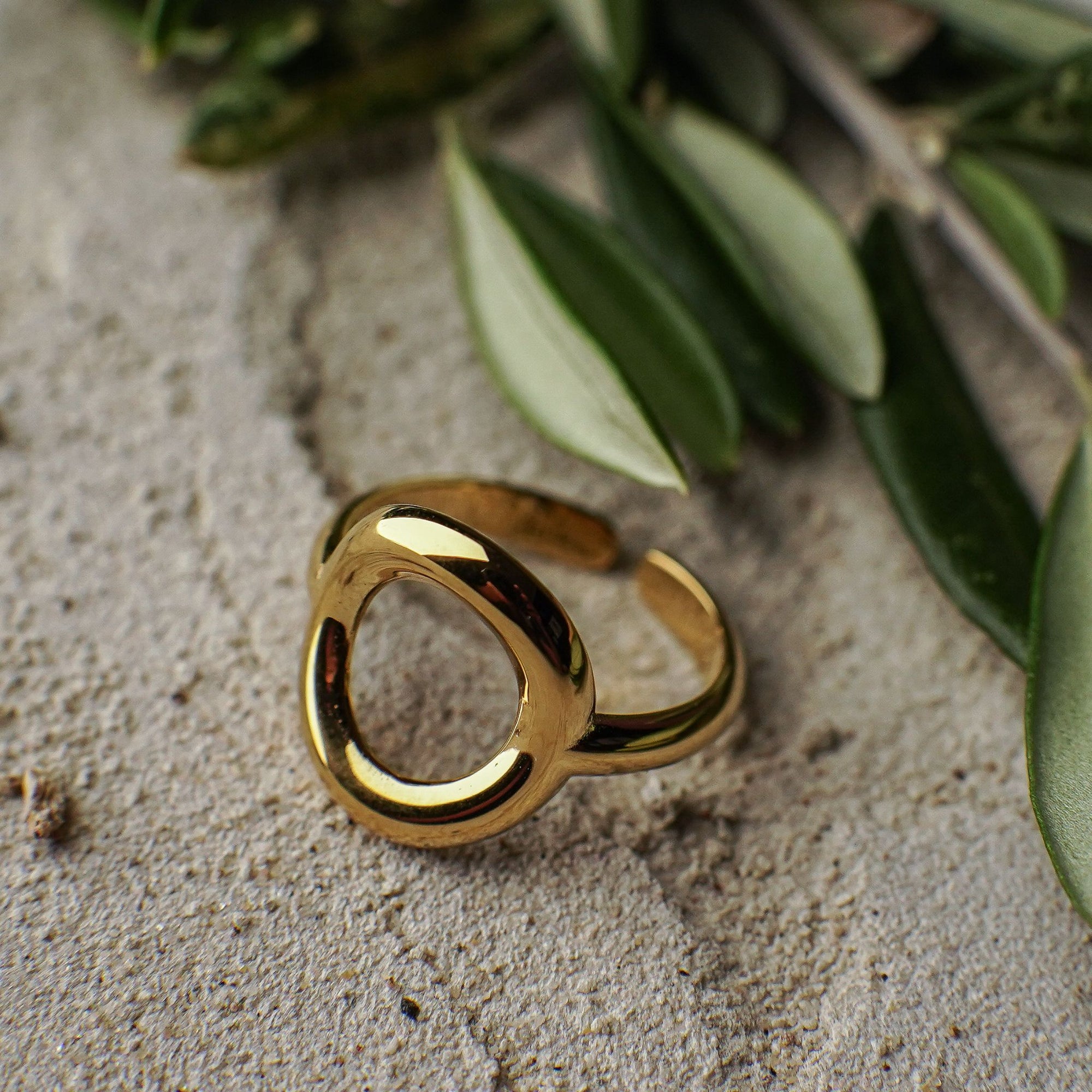 Gold ring on a textured surface with green leaves in the background