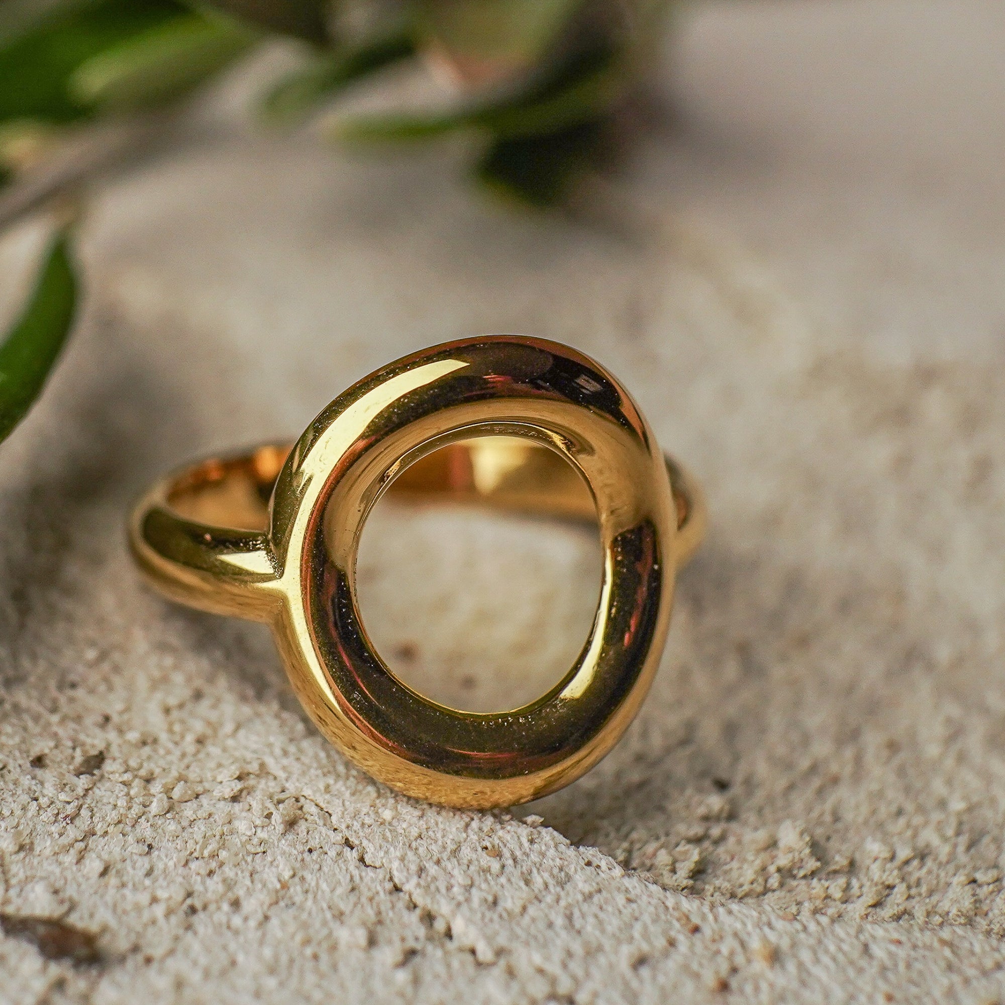 Gold ring on a textured surface with green leaves in the background