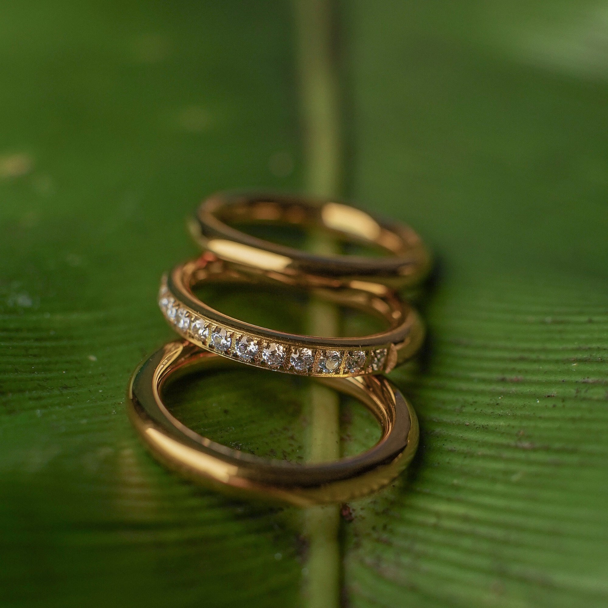 Three gold rings with diamond accents on a green leaf