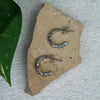 Conu Earring