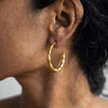 Evelina Ribbed Hoop Earrings