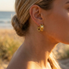 Miluse Dotted Gold Stud Earrings