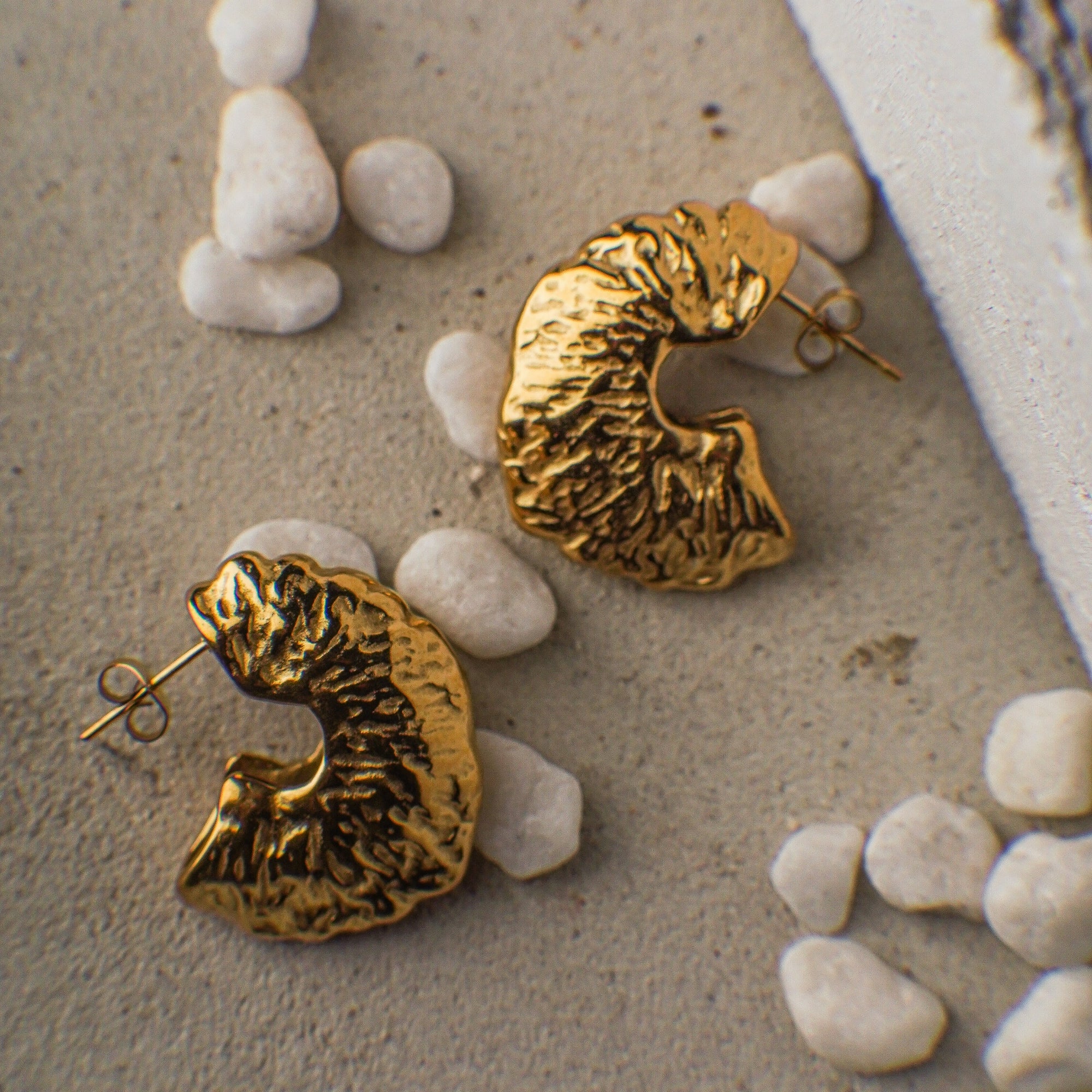 Gold ammonite fossil earrings on a stone surface with small stones around