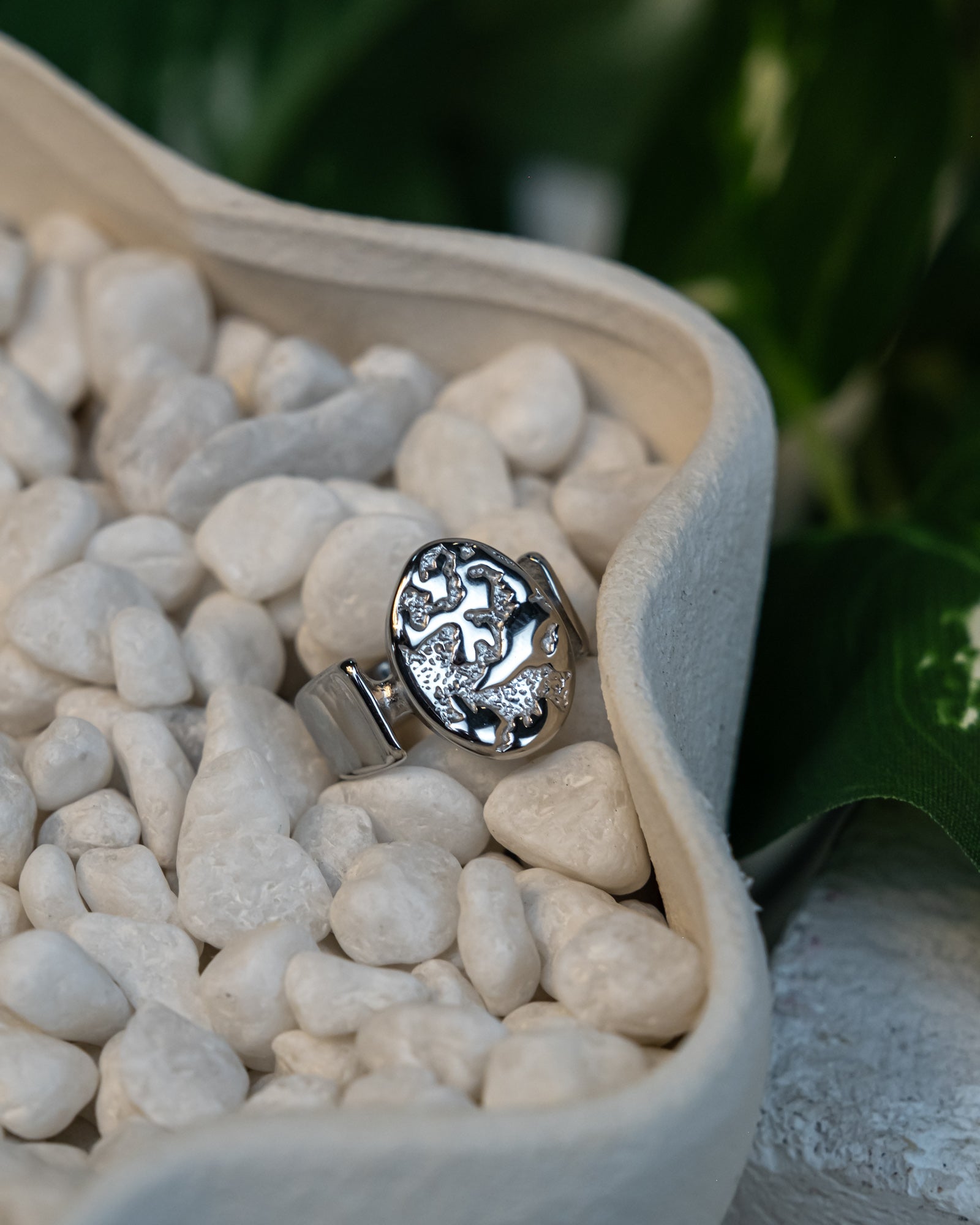 Bjørna Ring