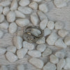 Leonora Ring