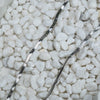 Jancio Necklace