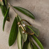 Gold ring with a diamond on a branch with green leaves