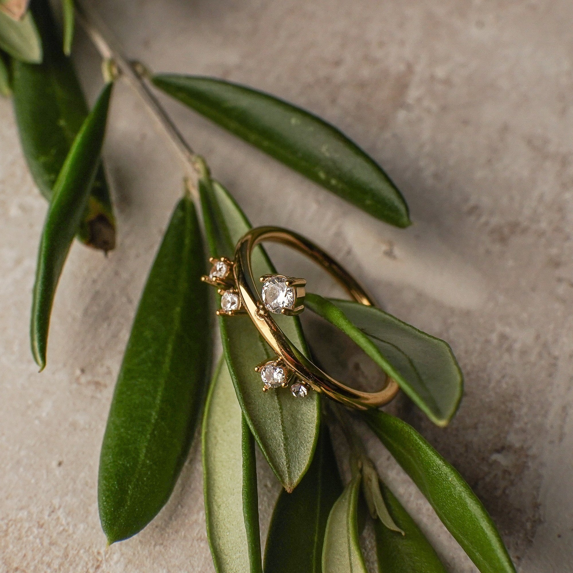 Gold ring with a diamond on a branch with green leaves
