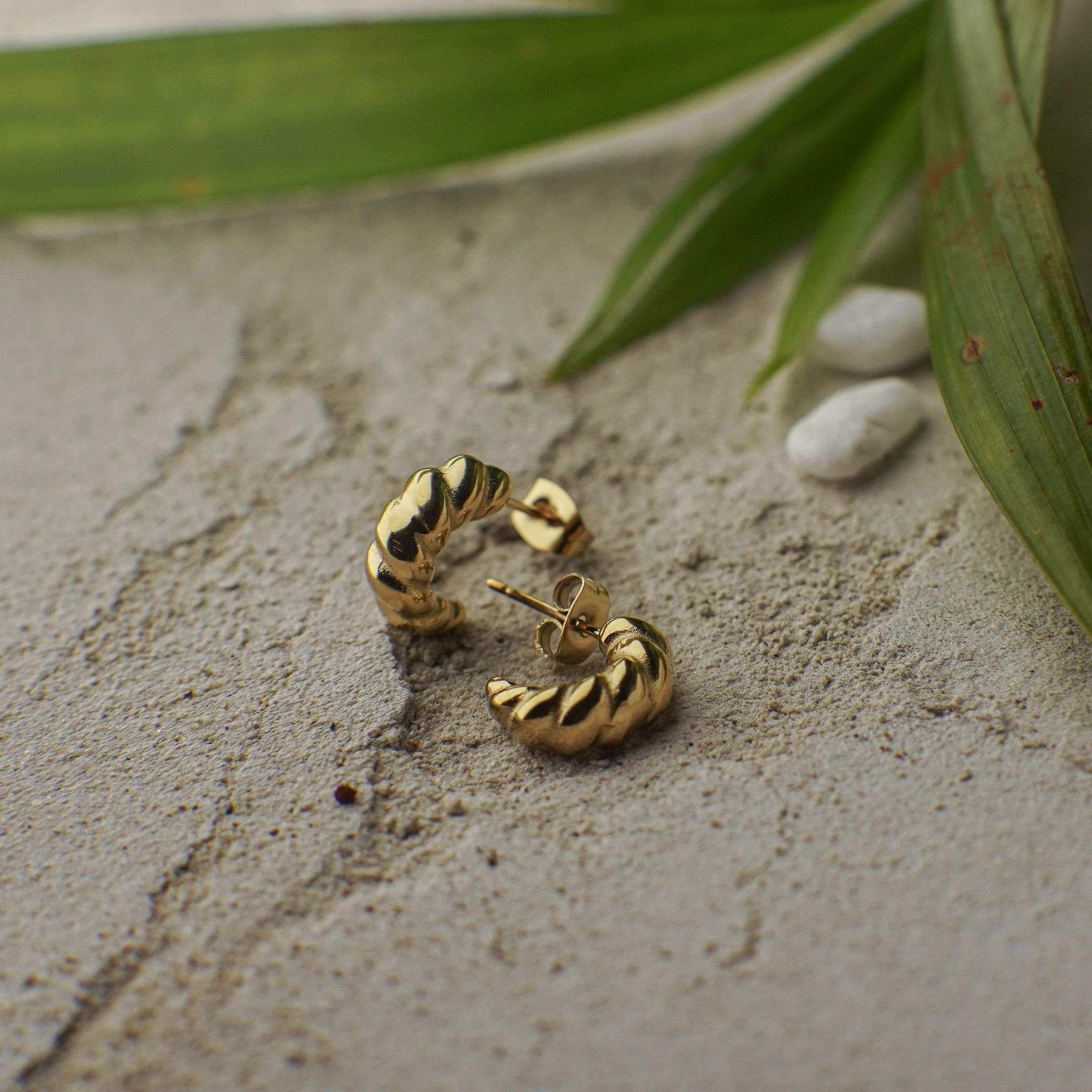 Gold hoop earrings on a textured surface with green leaves in the background