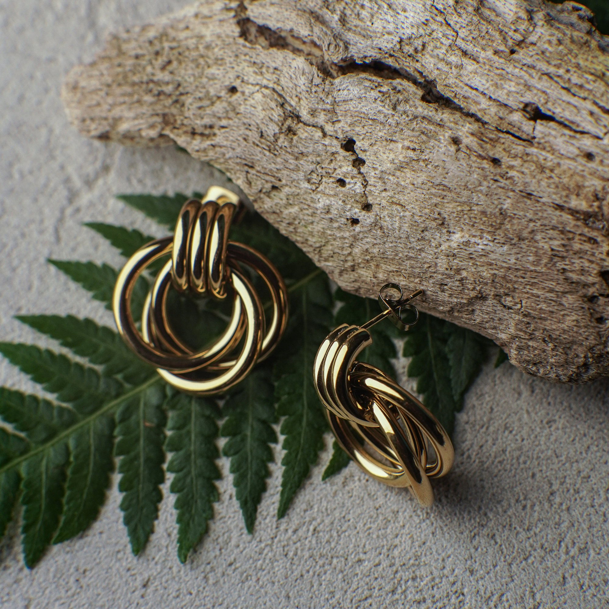 Gold hoop earrings on a piece of wood with green leaves