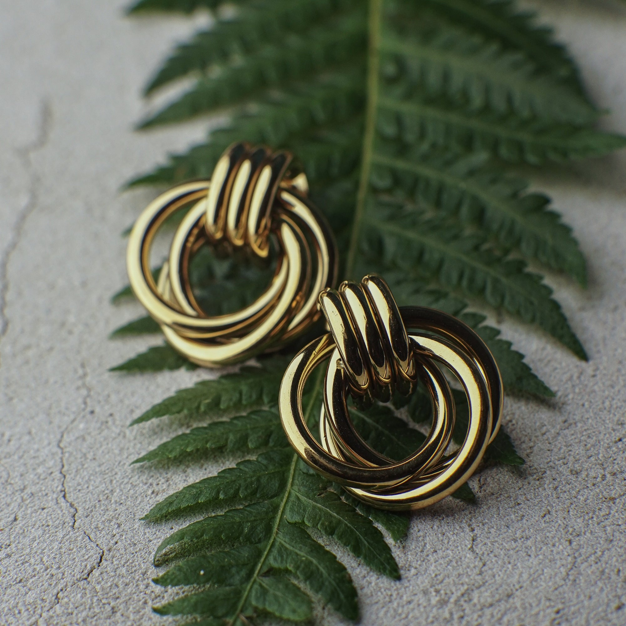 Gold hoop earrings on a leaf with a textured surface background