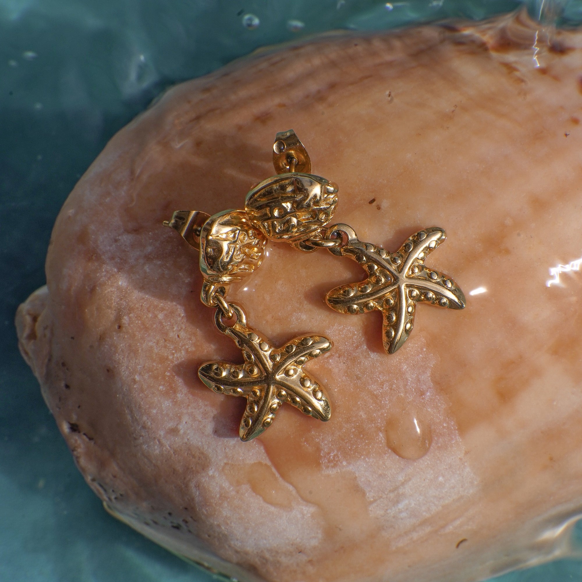 Gold starfish-shaped earrings on a seashell with water droplets.
