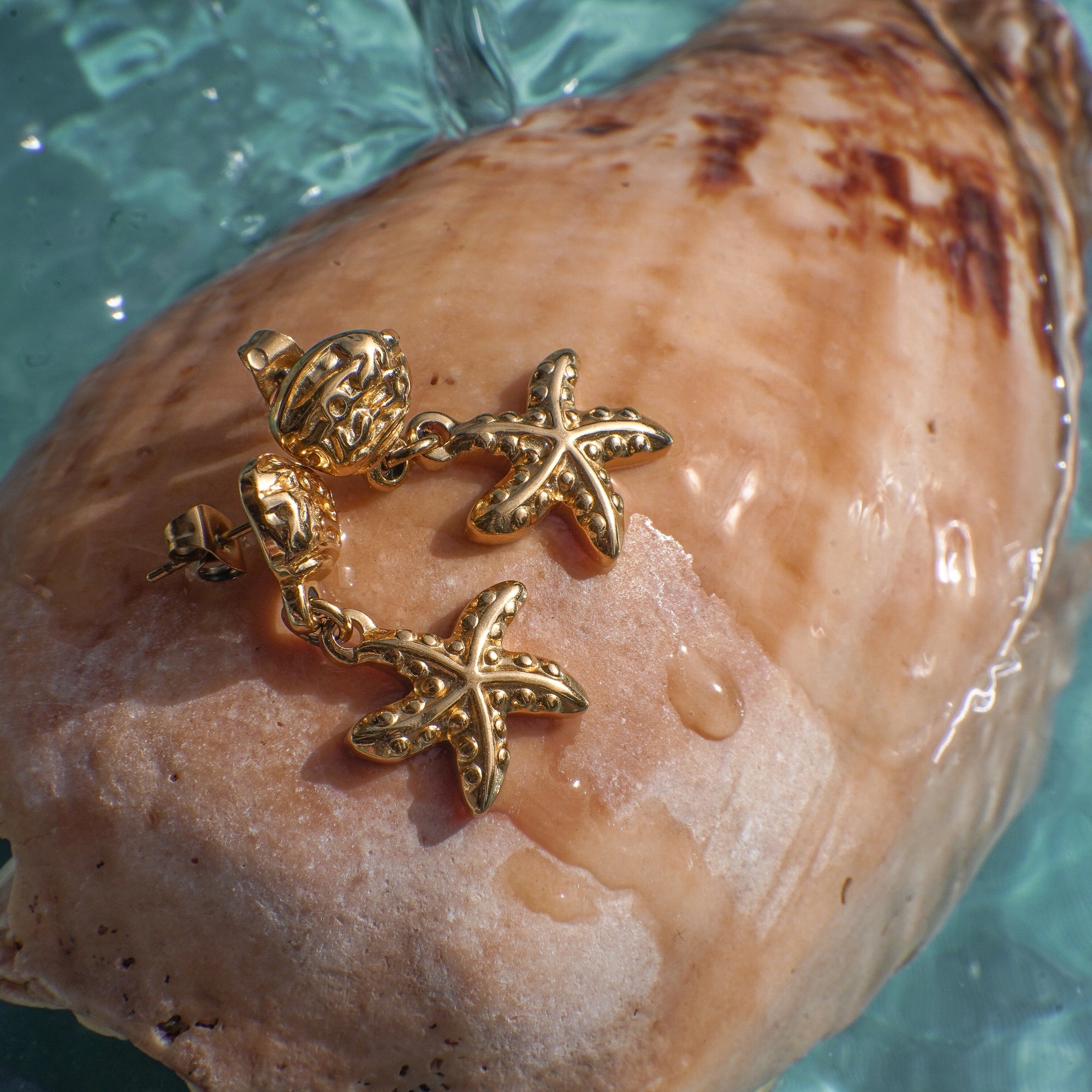 Gold starfish-shaped earrings on a seashell with water in the background