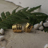 Gold rings with black accents on a textured surface with leaves and stones.