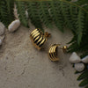 Gold earrings on a textured surface with green leaves and white stones