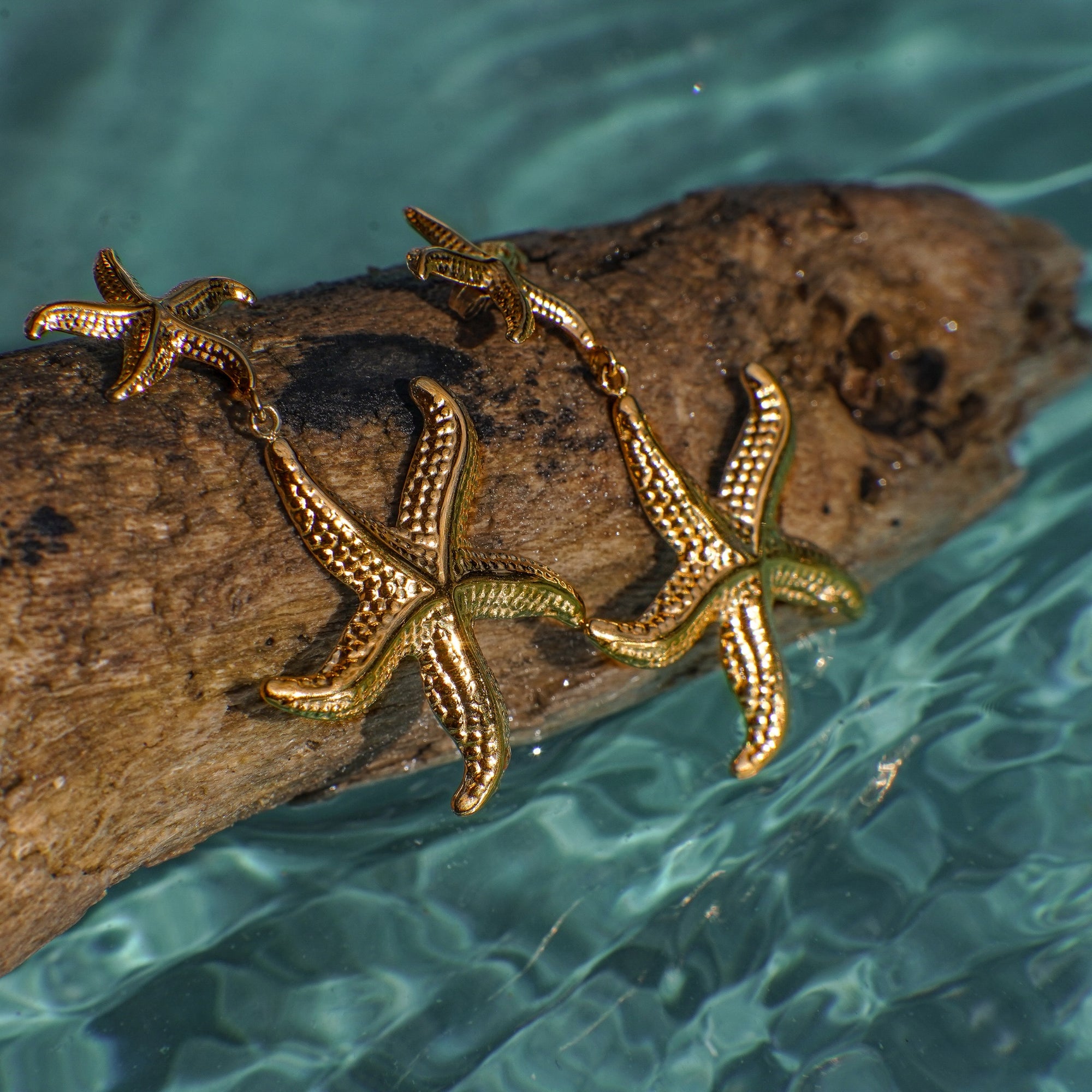 Gold starfish-shaped earrings on a wooden log with water in the background