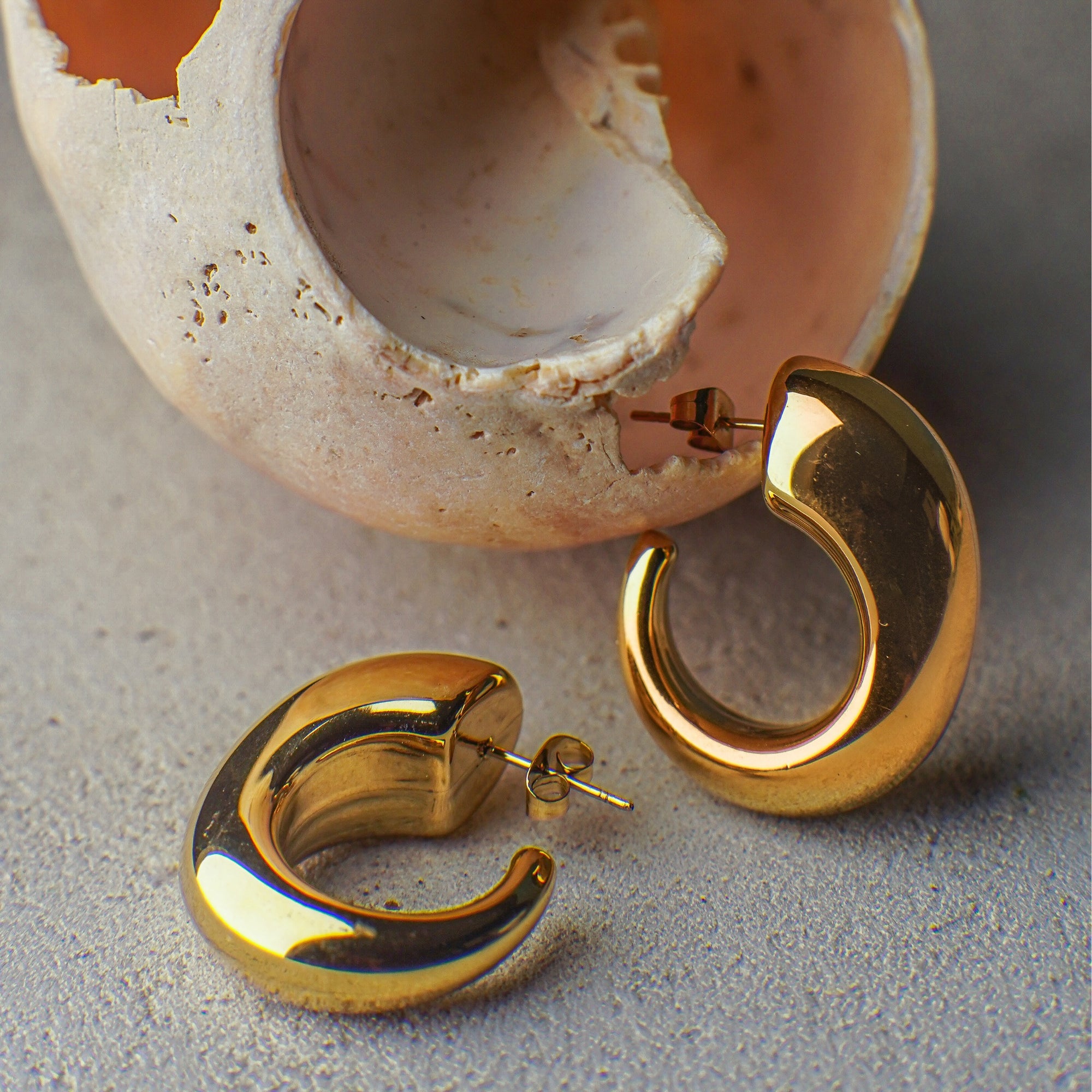 Gold hoop earrings on a textured surface with an open shell in the background