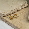Zara Gold Earrings