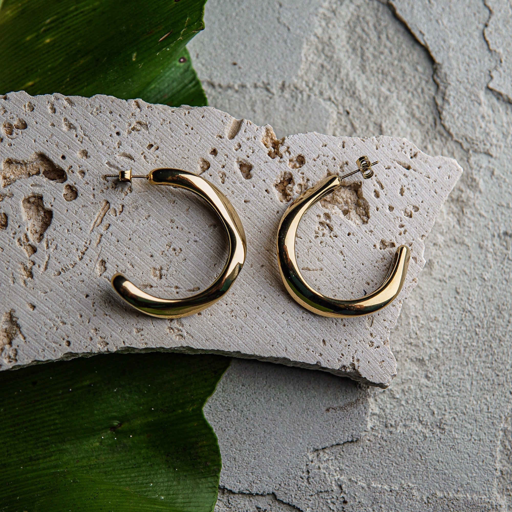 Gold hoop earrings on a textured stone surface with green leaves.