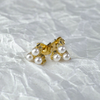 Gold earrings with pearls on a textured white background